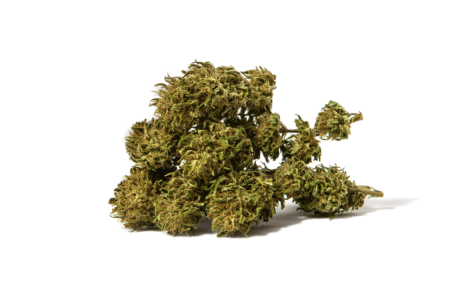 CannaFuel CBD+ 28,87%