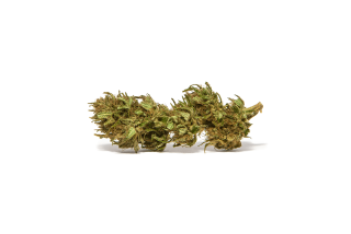 CannaFuel CBD+ 28,87%